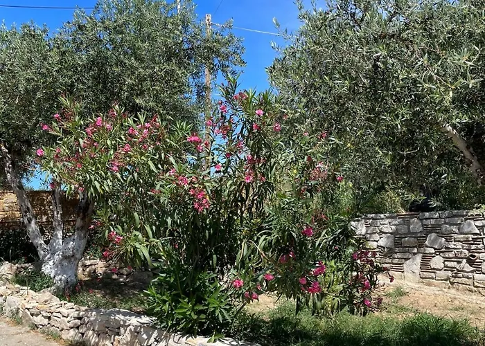 아파트 Terra Olivo