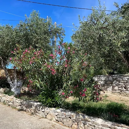 Apartamento Terra Olivo