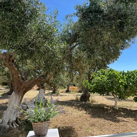 Apartamento Terra Olivo Koroni (Messinia)