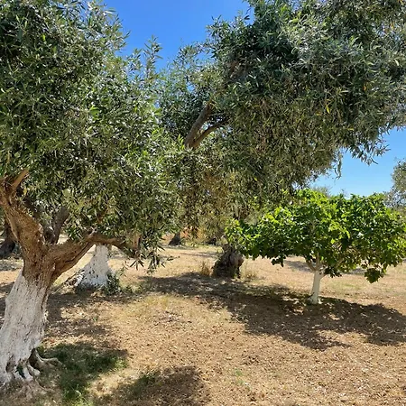 Terra Olivo Apartment *