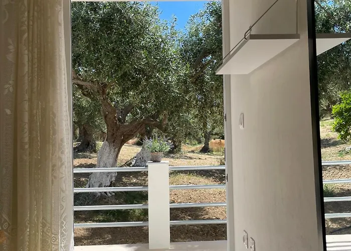 Terra Olivo Apartamento