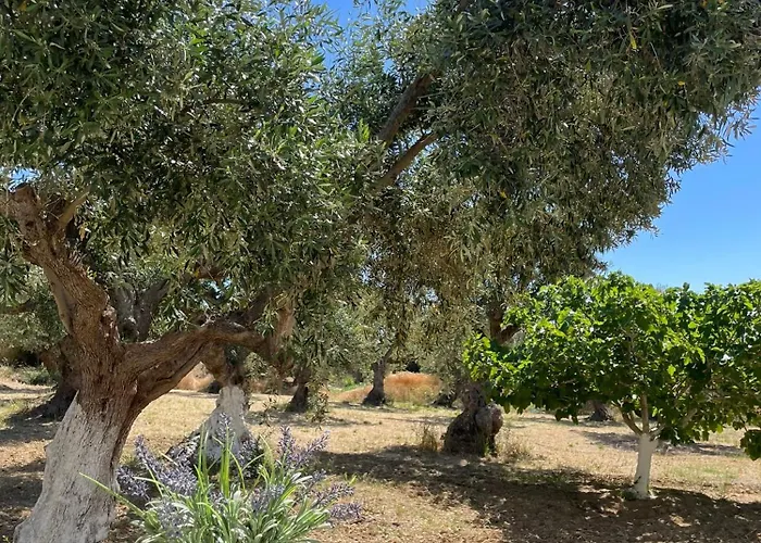 Apartamento Terra Olivo Koroni (Messinia)